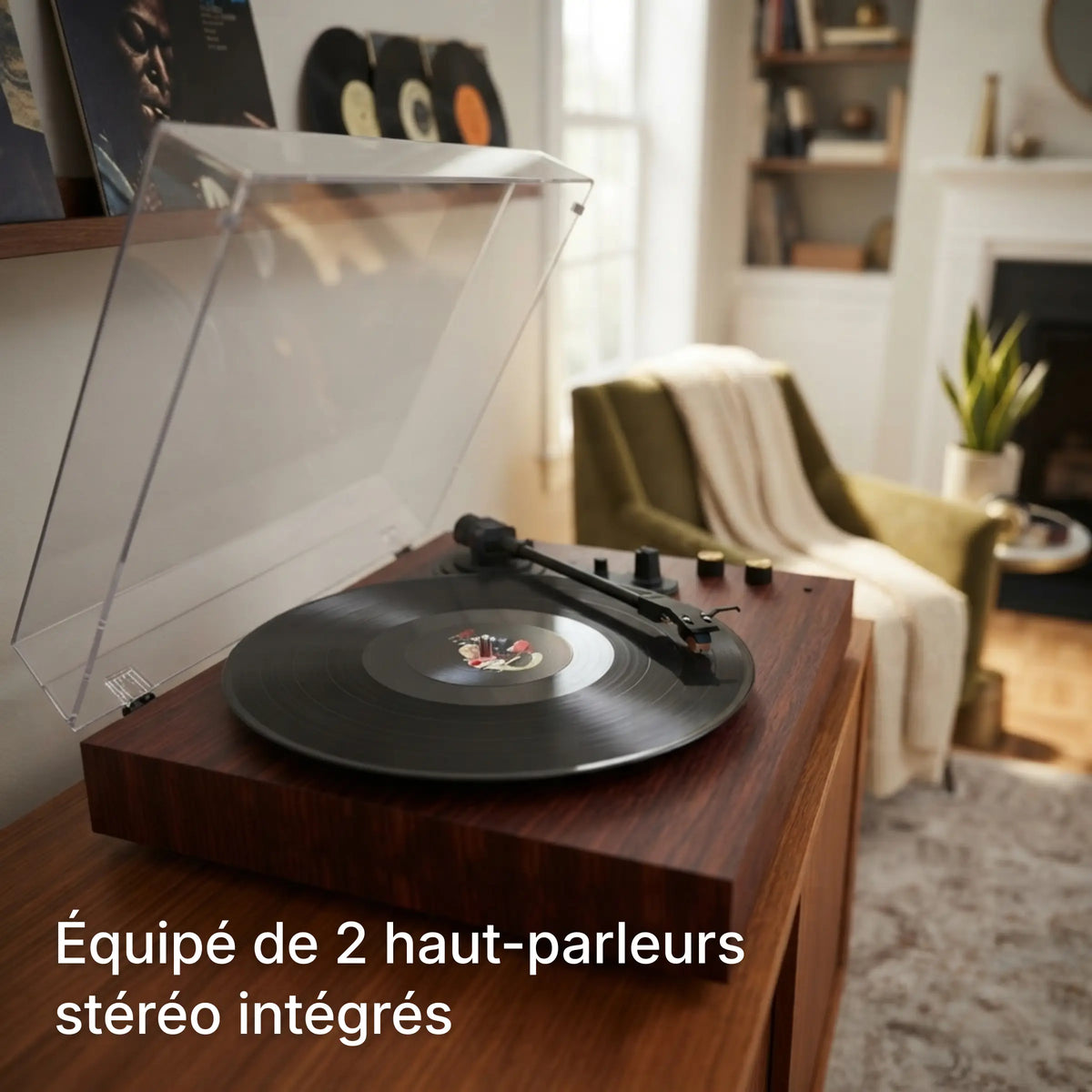 Platine Vinyle Lola