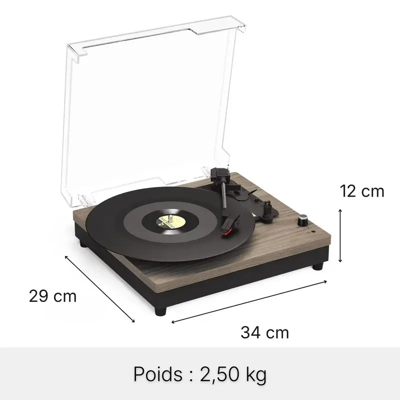 Platine Vinyle Milo