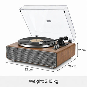 ELSA record player