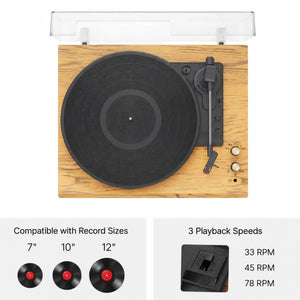 LENA record player