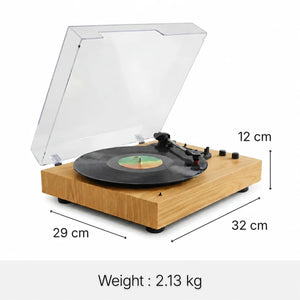 LENA record player