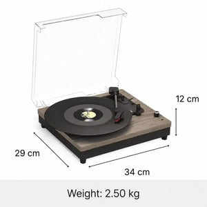 MILO record player